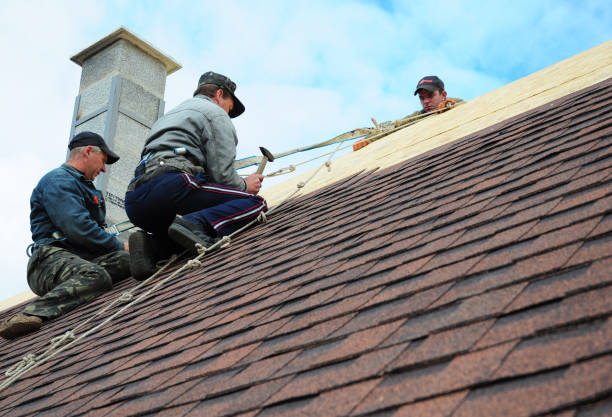 Roof Repair Estimates in Coon Rapids, MN